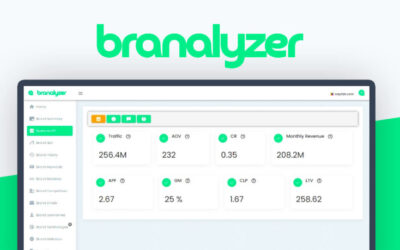 Branalyzer: Understanding the Benefits of Brand Analysis