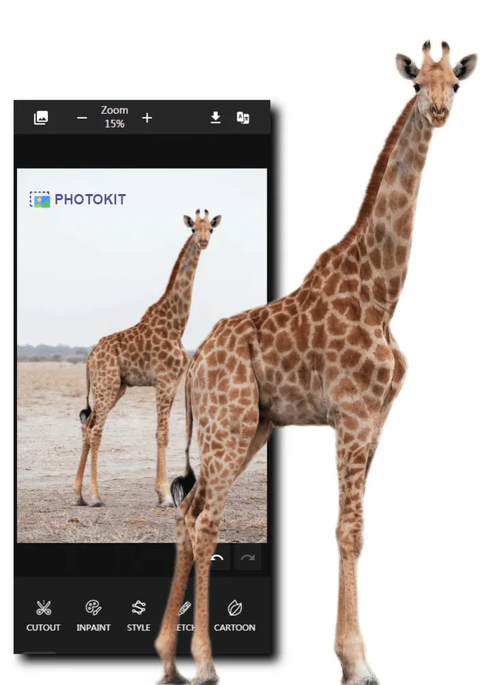 Photokit