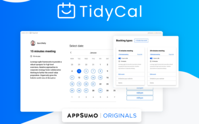 Tidycal: The Best Tool for Streamlining Your Calendar in 2024